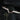 Elegant 14kt Bridgette Diamonds HALFWAY Eternity Band