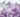 Birthstone Guide_ Amethyst-2