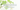 may birthstone & birth flower banner