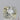 181cts square cushion cut faint butter champagne sapphire gemstone on display